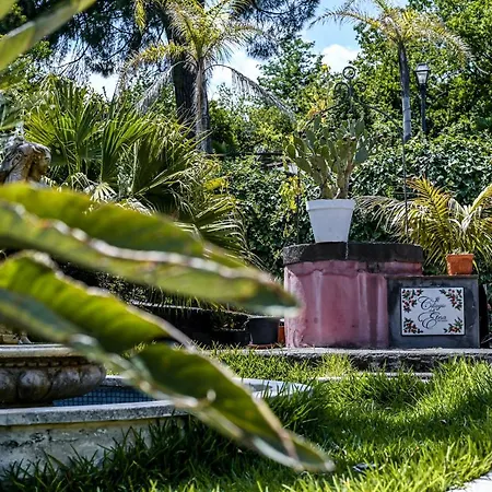 Il Ciliegio Dell 'etna Giarre