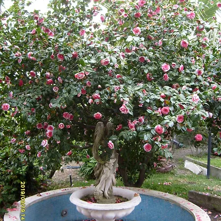 カントリーハウス Il Ciliegio Dell 'etna ジャッレ
