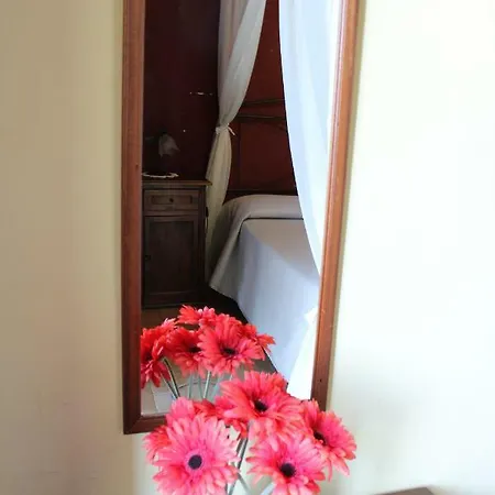 Il Ciliegio Dell 'etna *