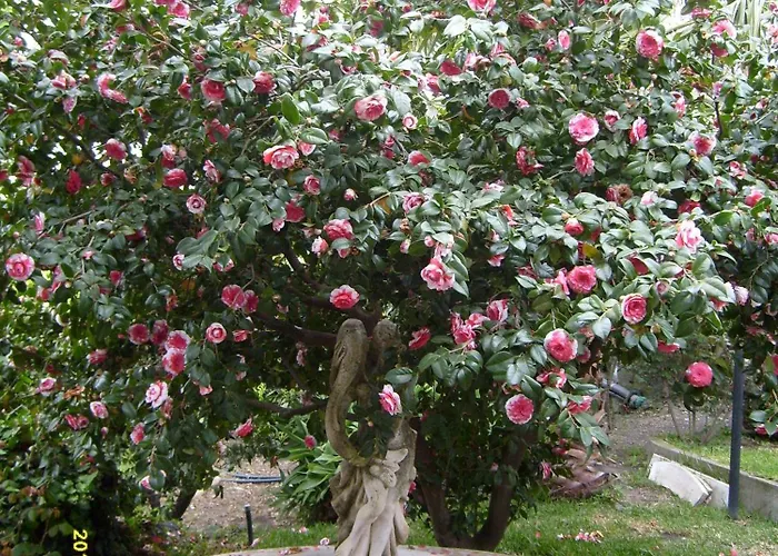 Landhaus Il Ciliegio Dell 'etna Giarre