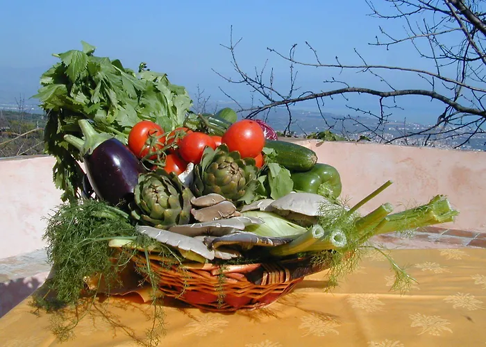 Il Ciliegio Dell 'etna *