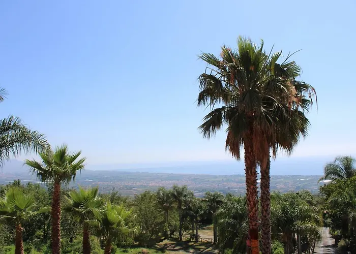 Il Ciliegio Dell 'etna *